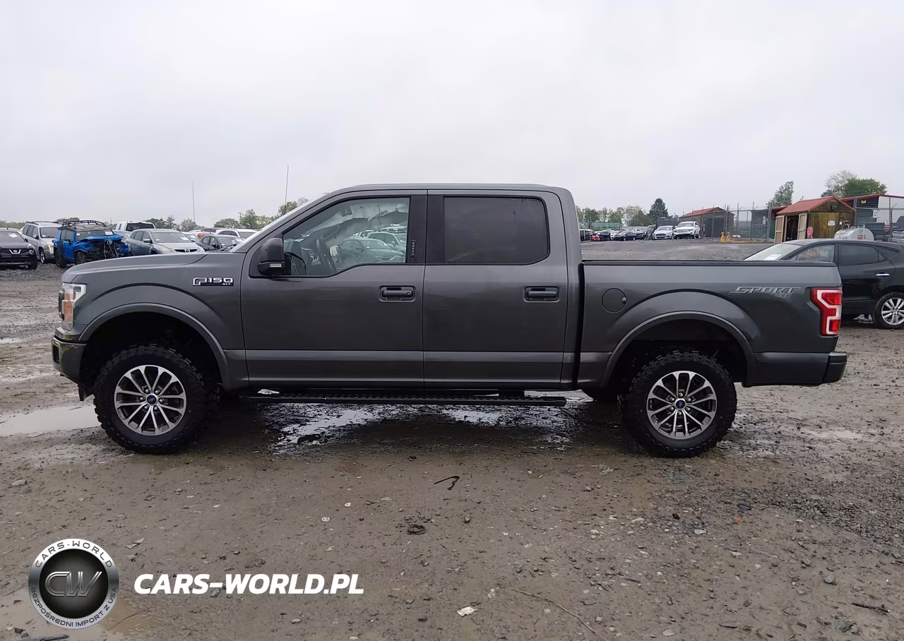 2019 Ford F-150 Xlt VIN:1FTEW1EP9KFD33703 - 14