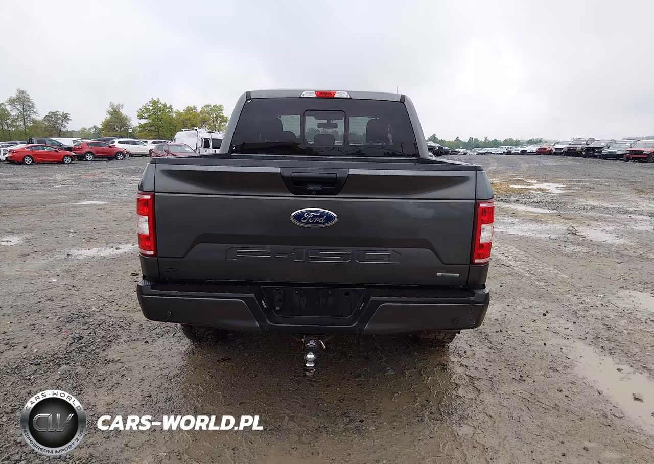 2019 Ford F-150 Xlt VIN:1FTEW1EP9KFD33703 - 16