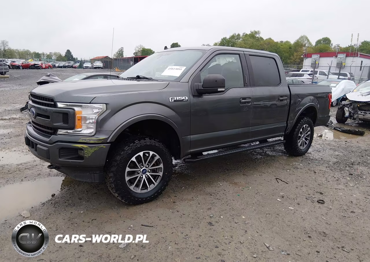 2019 Ford F-150 Xlt VIN:1FTEW1EP9KFD33703 - 2