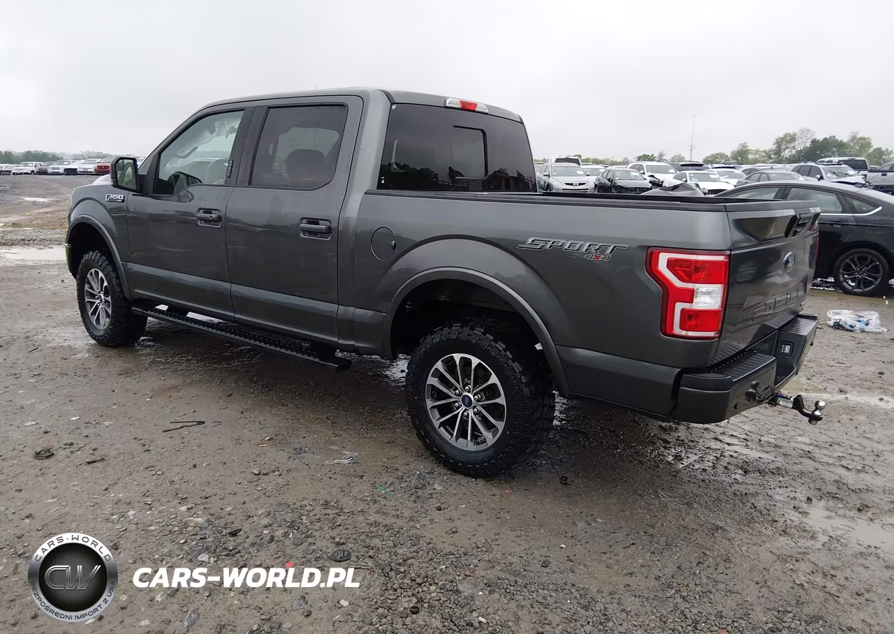 2019 Ford F-150 Xlt VIN:1FTEW1EP9KFD33703 - 3