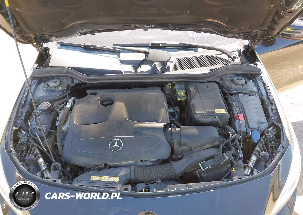 2014 Mercedes-Benz Cla 250 VIN:WDDSJ4EB6EN153196 - 10
