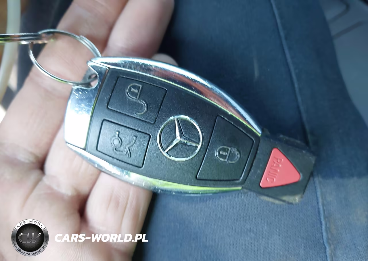 2014 Mercedes-Benz Cla 250 VIN:WDDSJ4EB6EN153196 - 11