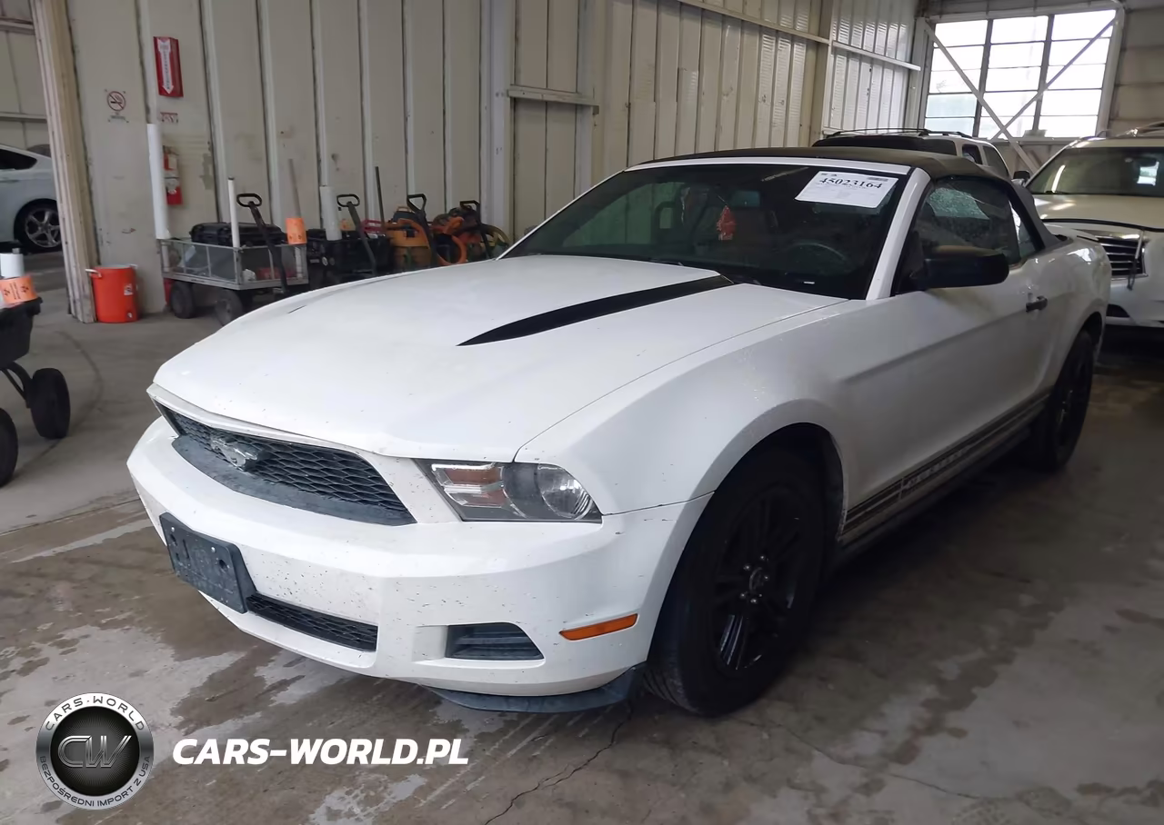 2010 Ford Mustang V6-V6 Premium VIN:1ZVBP8EN7A5110259 - 2