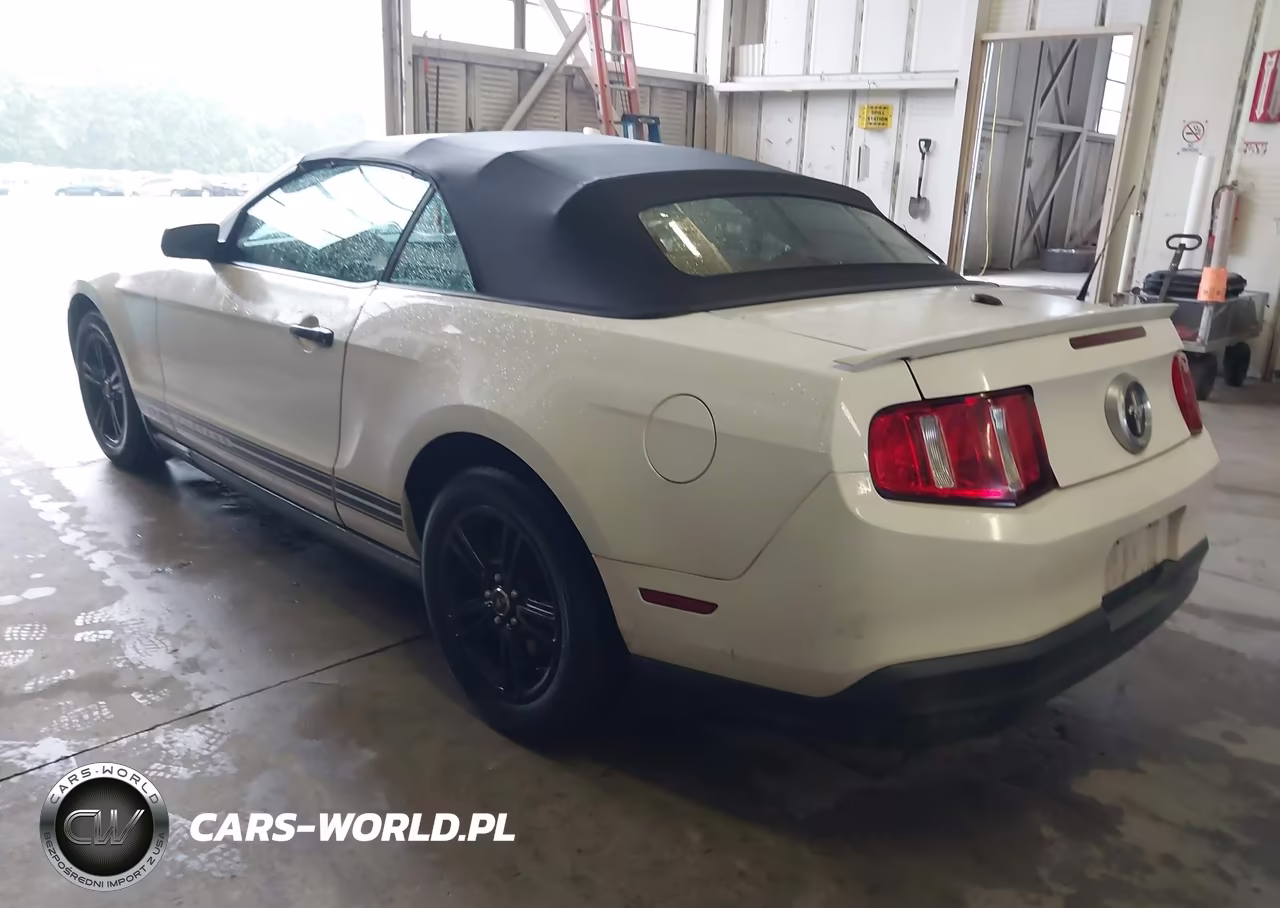 2010 Ford Mustang V6-V6 Premium VIN:1ZVBP8EN7A5110259 - 3