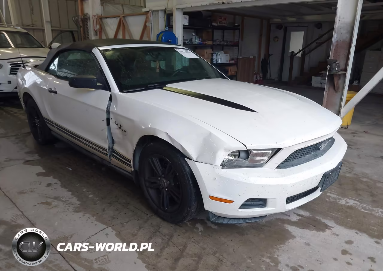 2010 Ford Mustang V6-V6 Premium VIN:1ZVBP8EN7A5110259 - 6