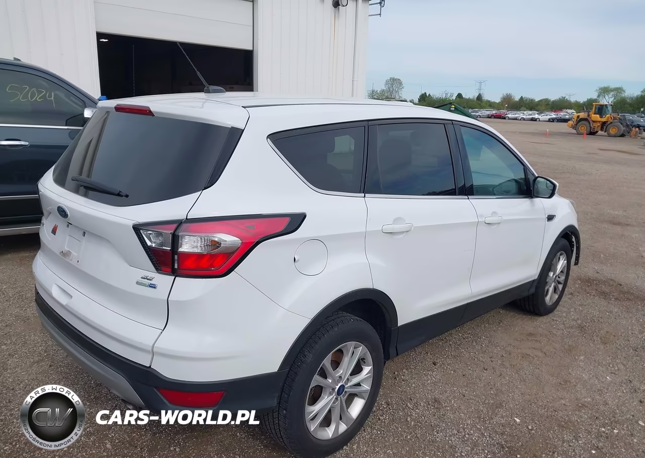 2017 Ford Escape Se VIN:1FMCU9GDXHUD44322 - 4