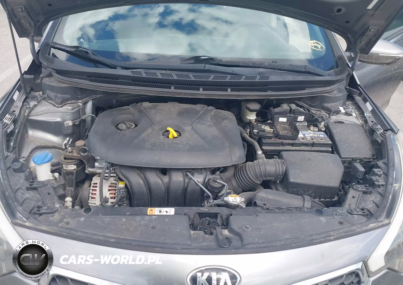 2016 Kia Forte Lx VIN:KNAFK5A85G5650622 - 10