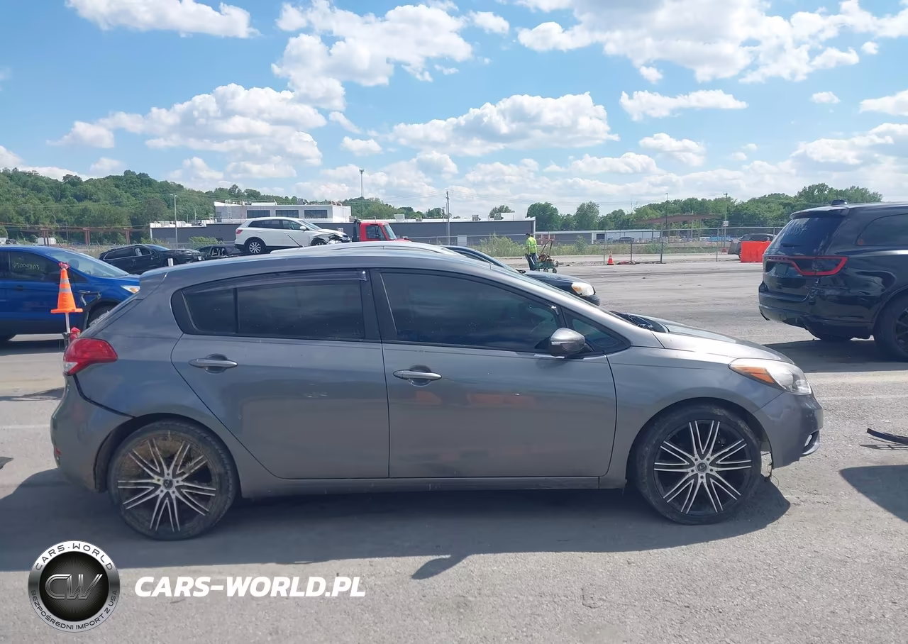 2016 Kia Forte Lx VIN:KNAFK5A85G5650622 - 14