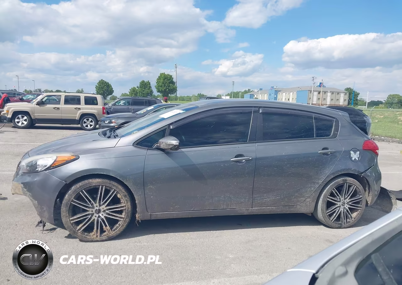 2016 Kia Forte Lx VIN:KNAFK5A85G5650622 - 15