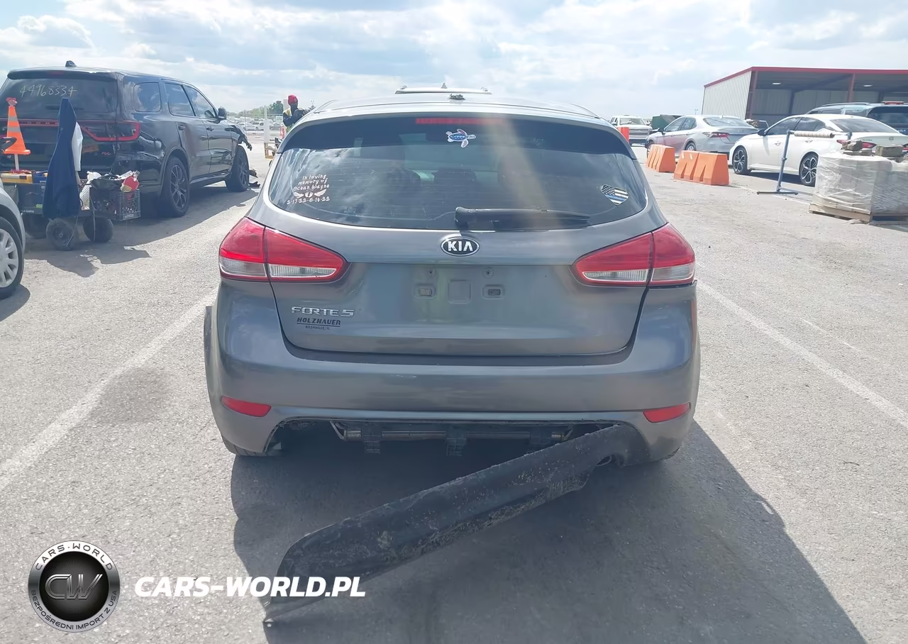 2016 Kia Forte Lx VIN:KNAFK5A85G5650622 - 17