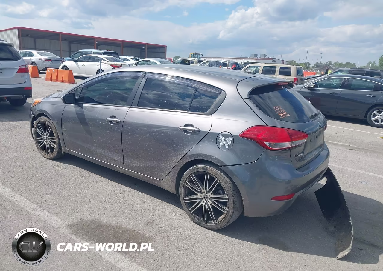 2016 Kia Forte Lx VIN:KNAFK5A85G5650622 - 3