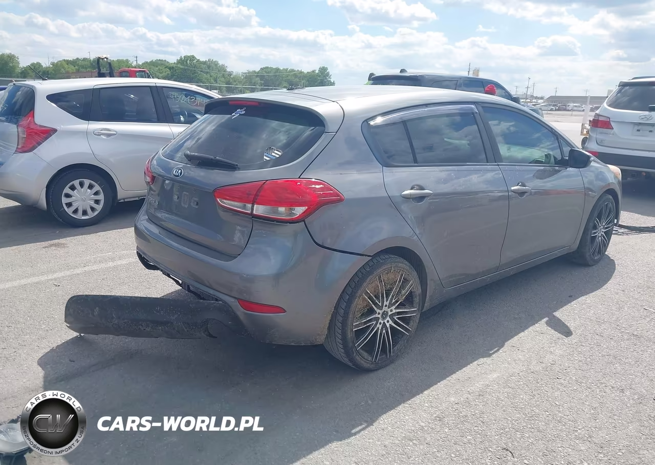 2016 Kia Forte Lx VIN:KNAFK5A85G5650622 - 4