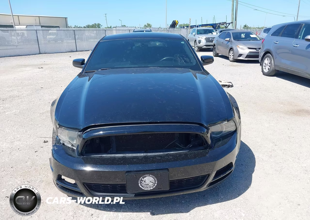 2013 Ford Mustang V6 VIN:1ZVBP8AM0D5206395 - 13