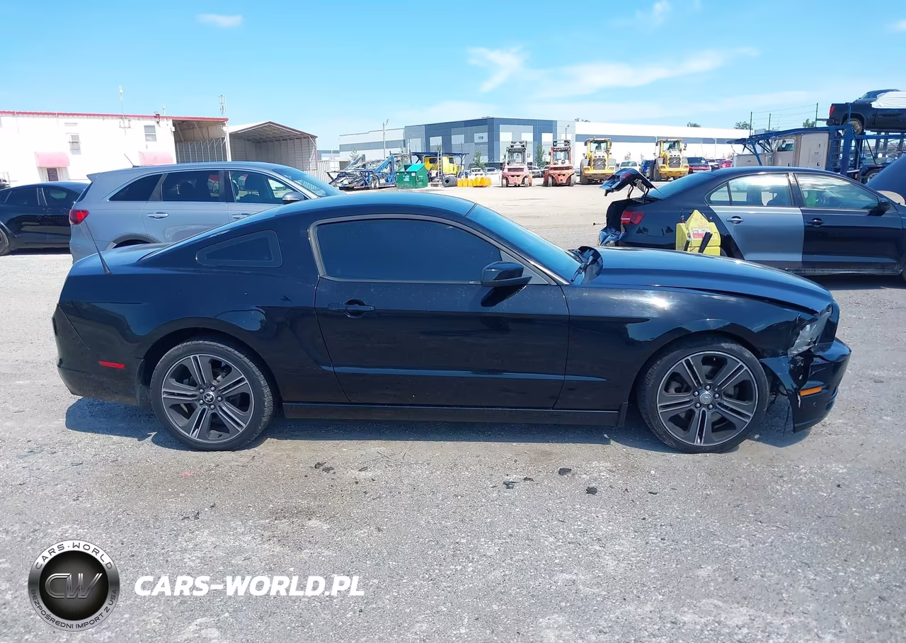 2013 Ford Mustang V6 VIN:1ZVBP8AM0D5206395 - 14