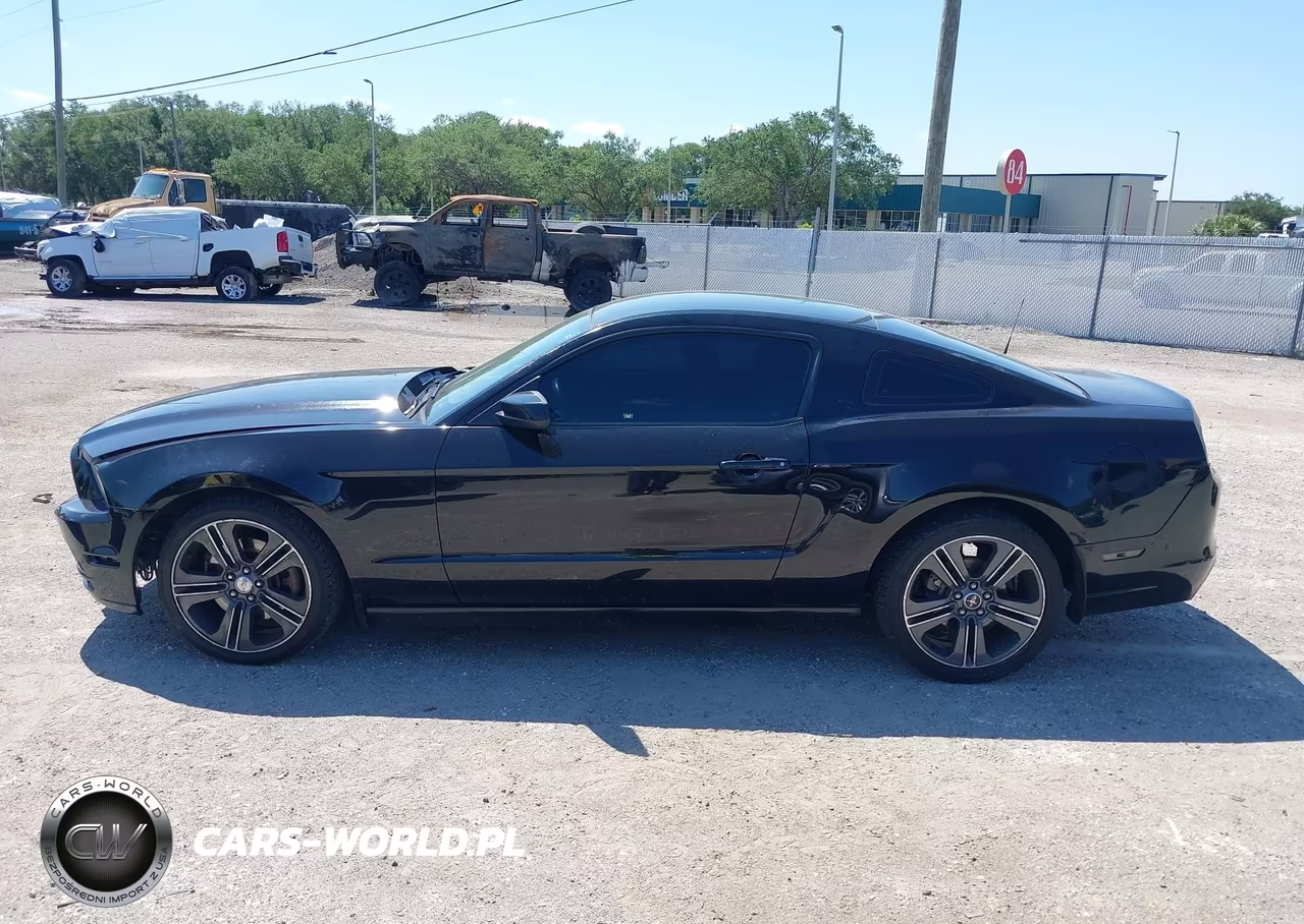 2013 Ford Mustang V6 VIN:1ZVBP8AM0D5206395 - 15