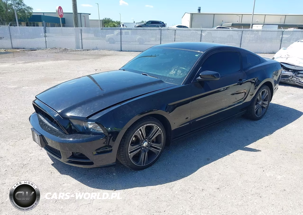 2013 Ford Mustang V6 VIN:1ZVBP8AM0D5206395 - 2