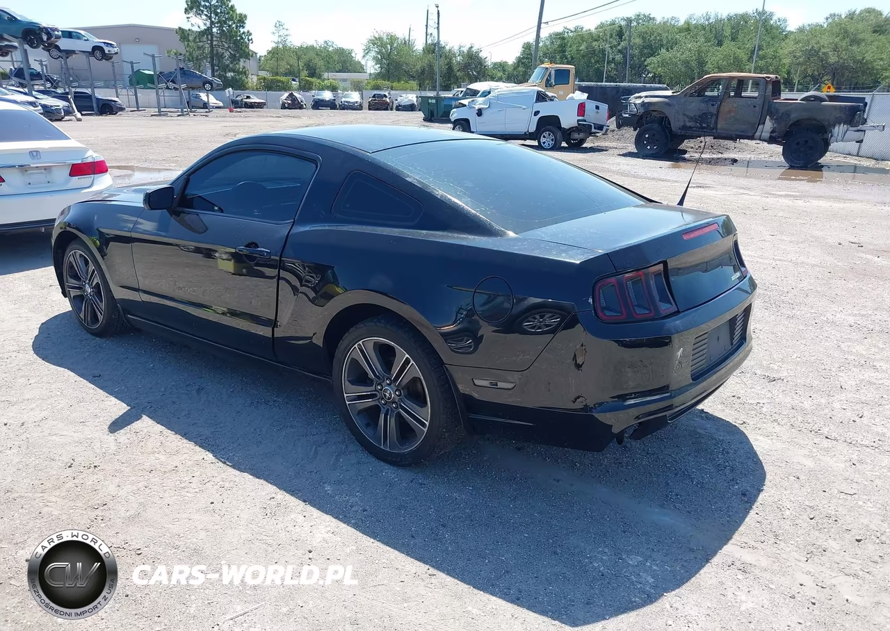 2013 Ford Mustang V6 VIN:1ZVBP8AM0D5206395 - 3