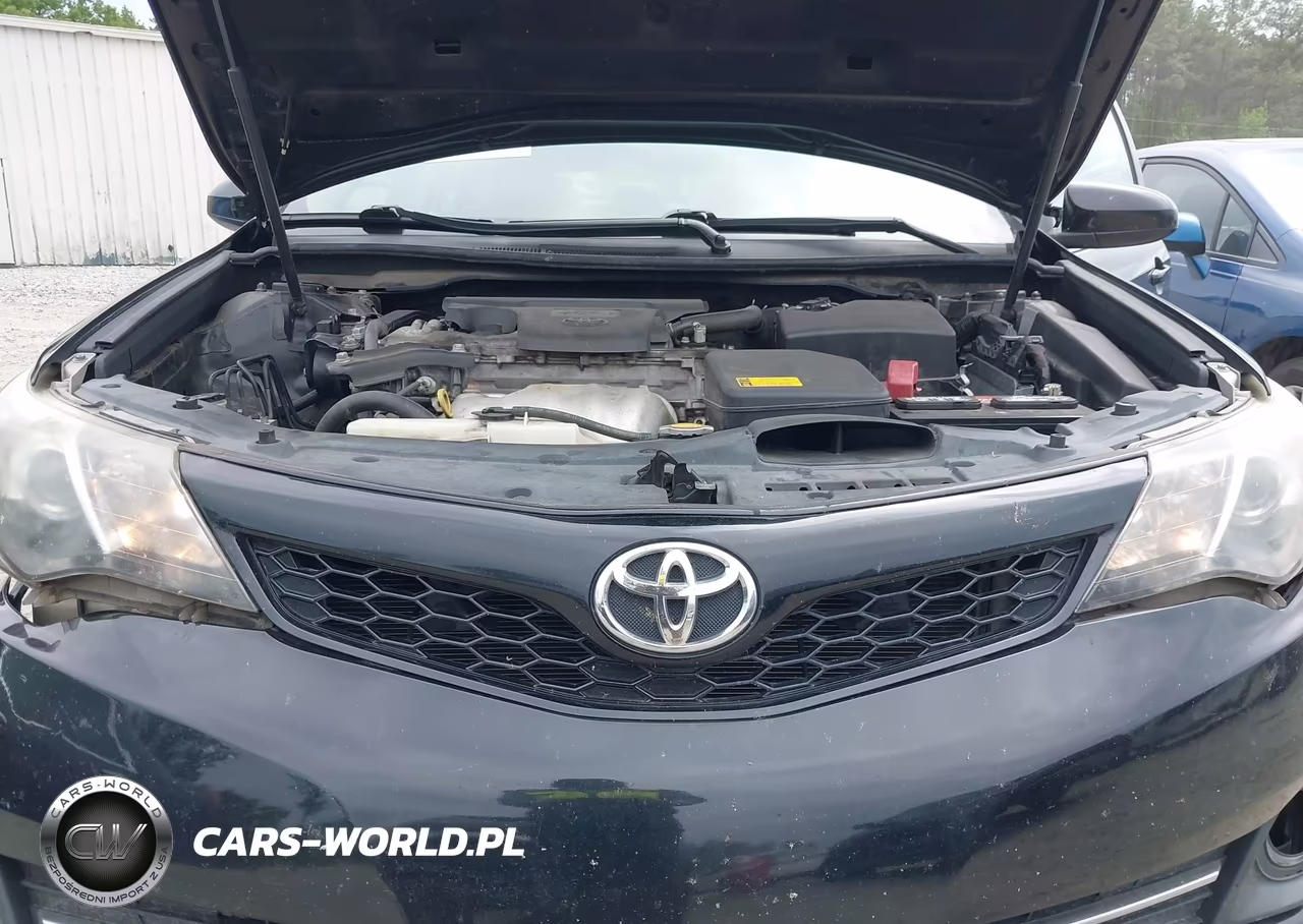 2014 Toyota Camry Se VIN:4T1BF1FK4EU405179 - 10