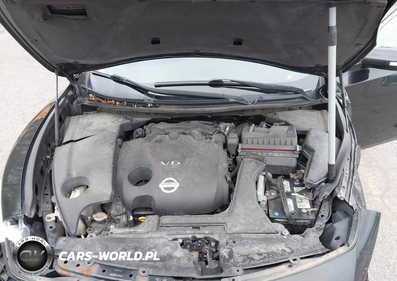 2009 Nissan Maxima 3.5 Sv VIN:1N4AA51E09C814417 - 10