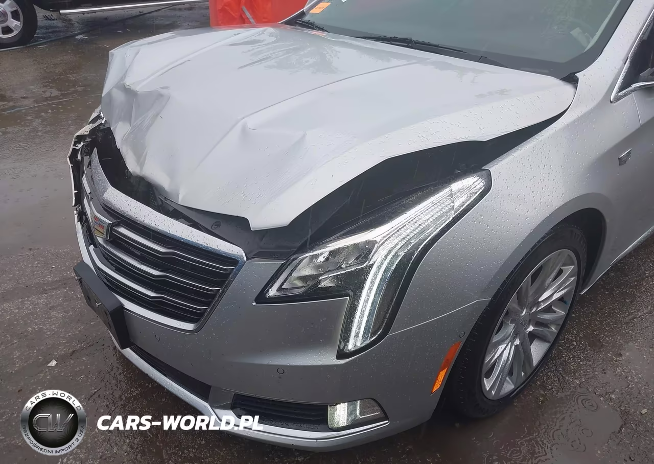 2019 Cadillac Xts Luxury VIN:2G61M5S34K9132901 - 18