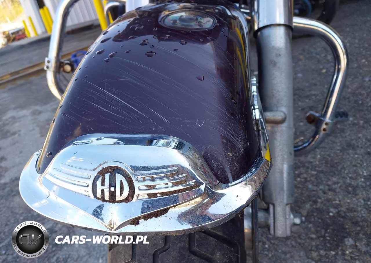 2005 Harley-Davidson Flhrci VIN:1HD1FRW195Y647396 - 14
