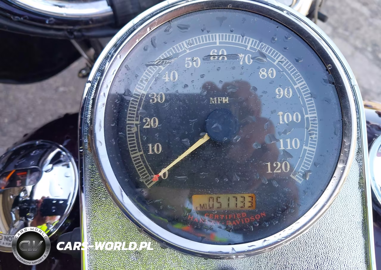 2005 Harley-Davidson Flhrci VIN:1HD1FRW195Y647396 - 7
