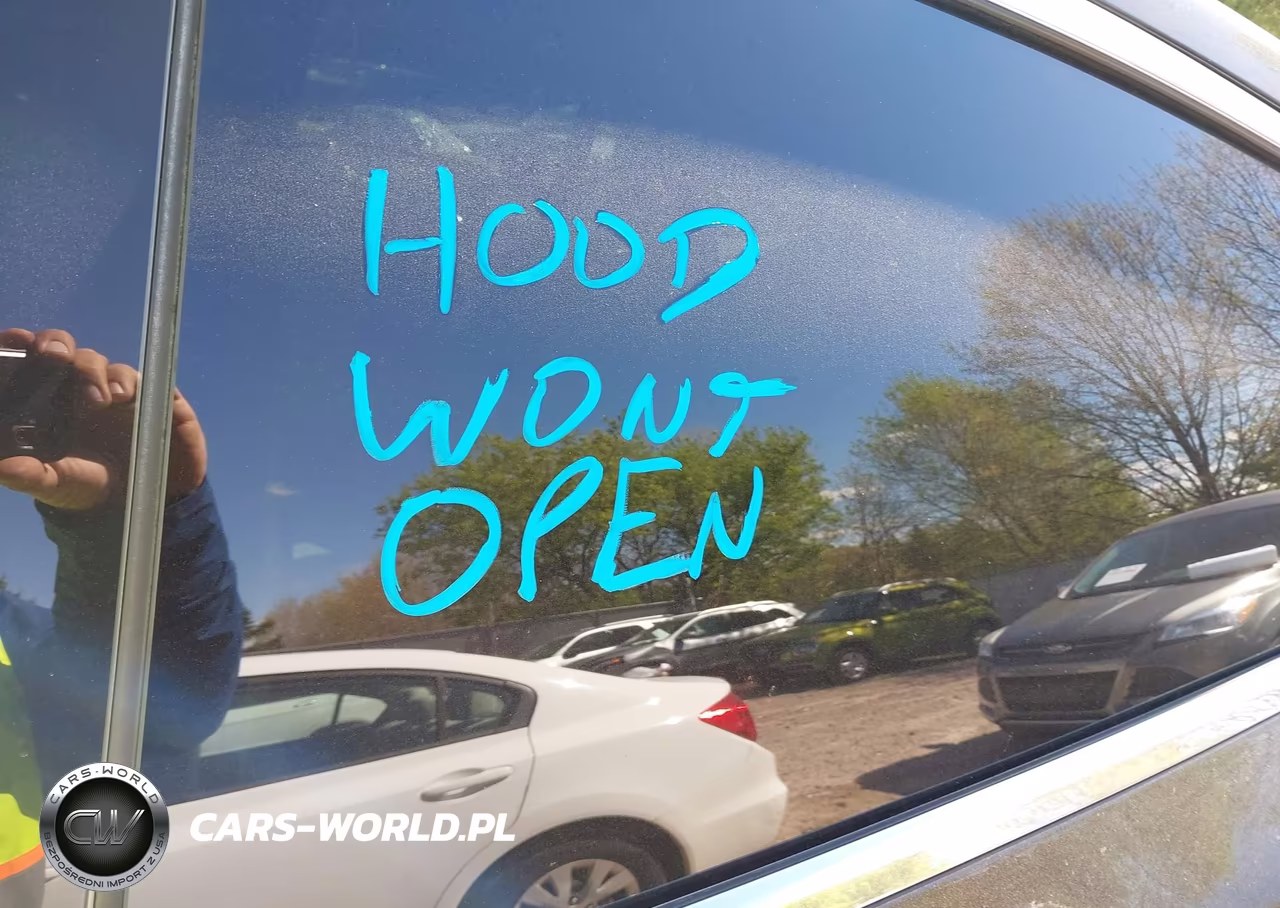 2018 Tesla Model X 100D-75D-P100D VIN:5YJXCAE23JF104989 - 10