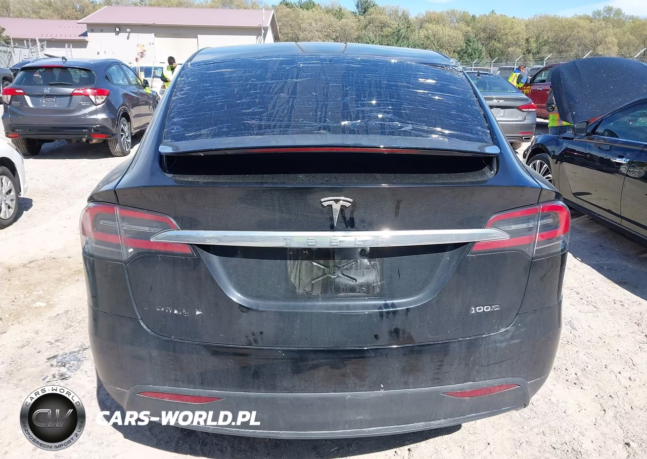 2018 Tesla Model X 100D-75D-P100D VIN:5YJXCAE23JF104989 - 16
