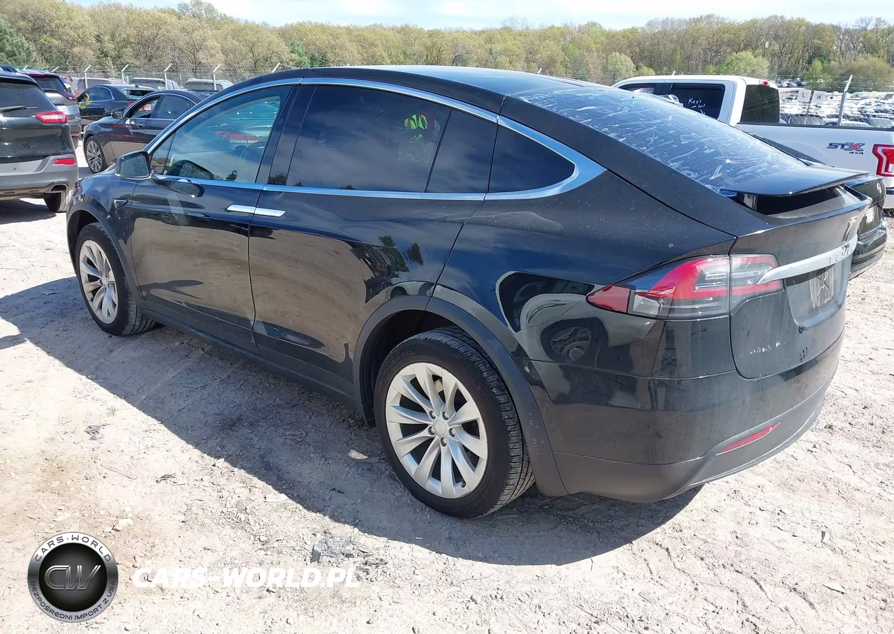 2018 Tesla Model X 100D-75D-P100D VIN:5YJXCAE23JF104989 - 3