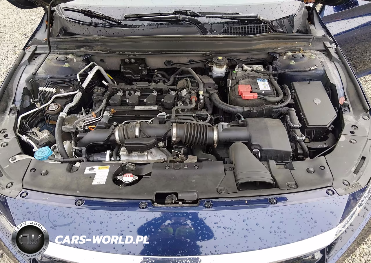 2020 Honda Accord Ex VIN:1HGCV1F41LA066426 - 10