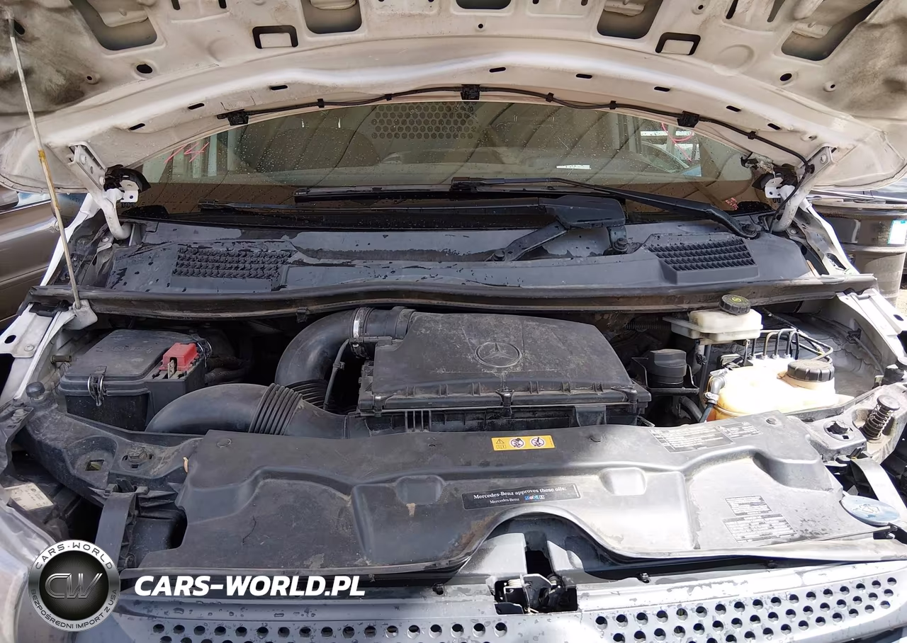 2019 Mercedes-Benz Metris VIN:WD3PG2EA8K3504539 - 10