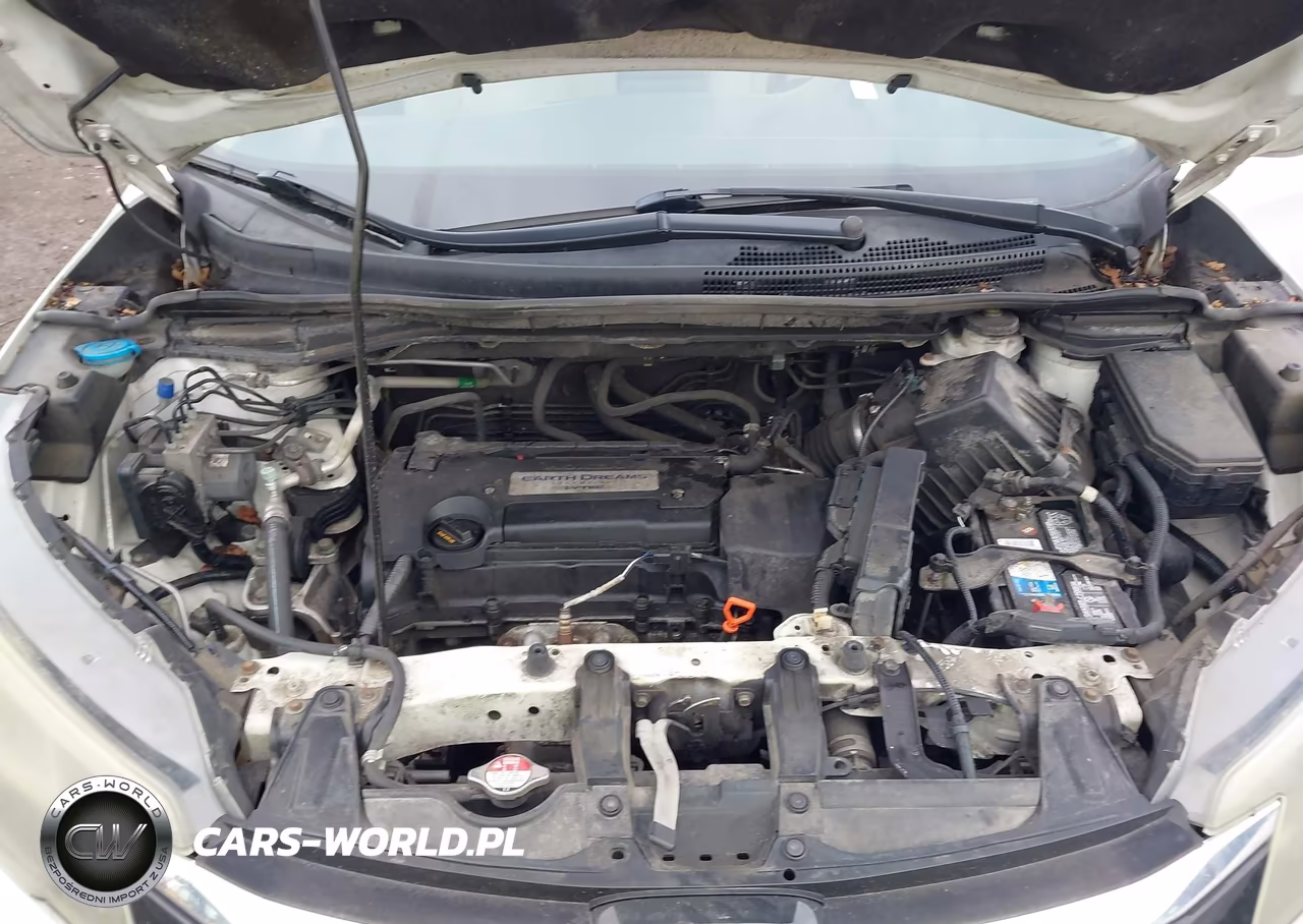 2015 Honda Cr-V Lx VIN:5J6RM4H3XFL009484 - 10