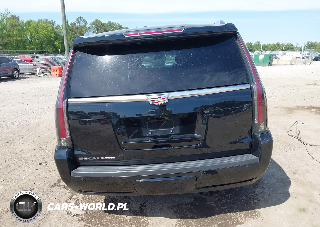 2020 Cadillac Escalade Esv 4Wd Luxury VIN:1GYS4HKJ0LR130985 - 16