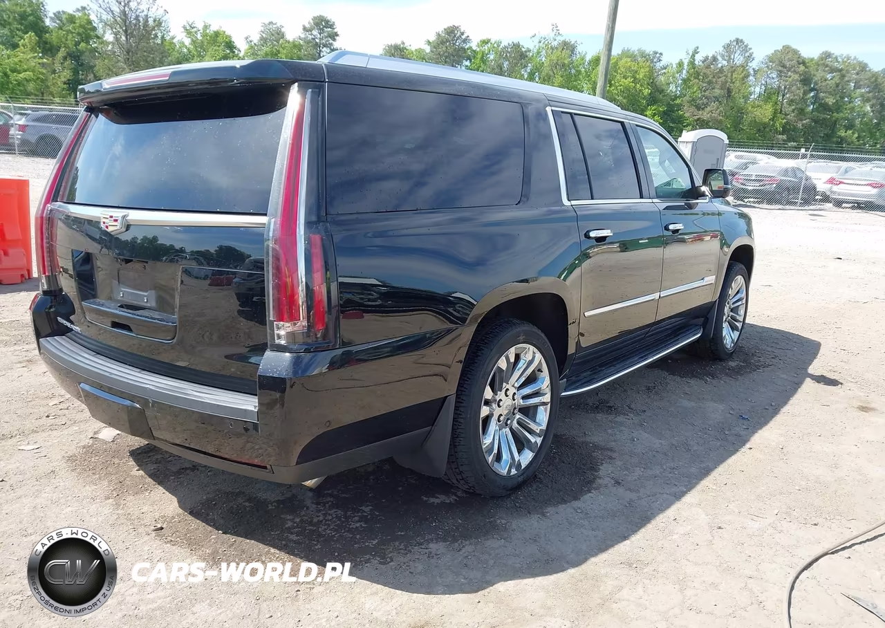 2020 Cadillac Escalade Esv 4Wd Luxury VIN:1GYS4HKJ0LR130985 - 4