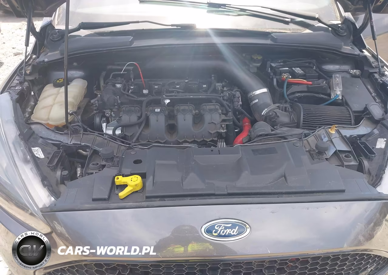 2016 Ford Focus St VIN:1FADP3L93GL355042 - 10