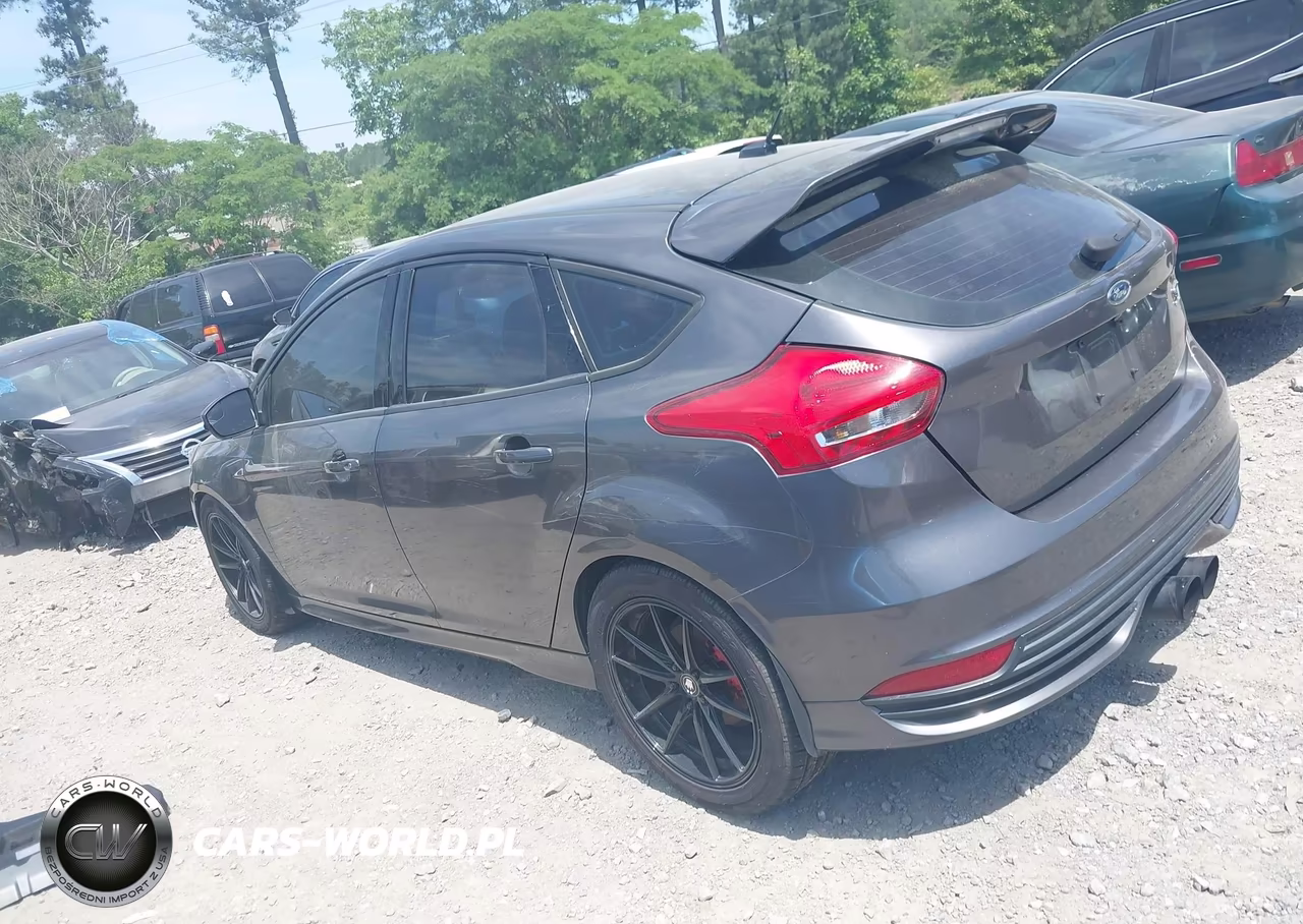 2016 Ford Focus St VIN:1FADP3L93GL355042 - 14