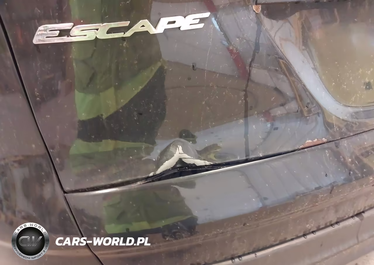 2014 Ford Escape S VIN:1FMCU0F76EUA40942 - 6