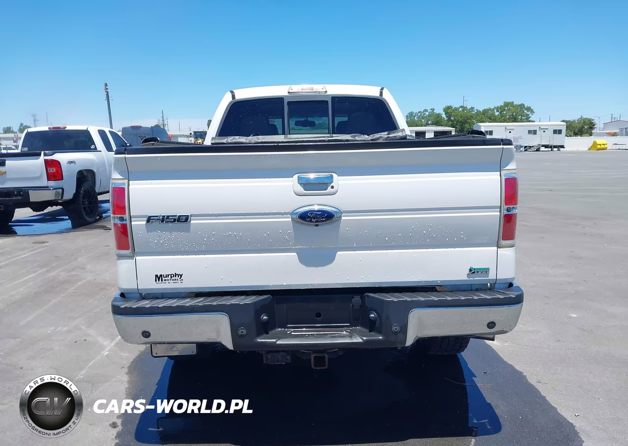 2010 Ford F-150 Fx4-Harley-Davidson-King Ranch-Lariat-Platinum-Xl-Xlt VIN:1FTFW1EVXAFB04979 - 16