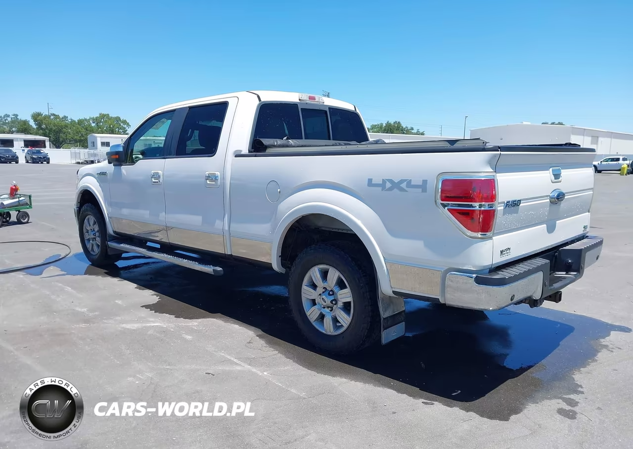 2010 Ford F-150 Fx4-Harley-Davidson-King Ranch-Lariat-Platinum-Xl-Xlt VIN:1FTFW1EVXAFB04979 - 3