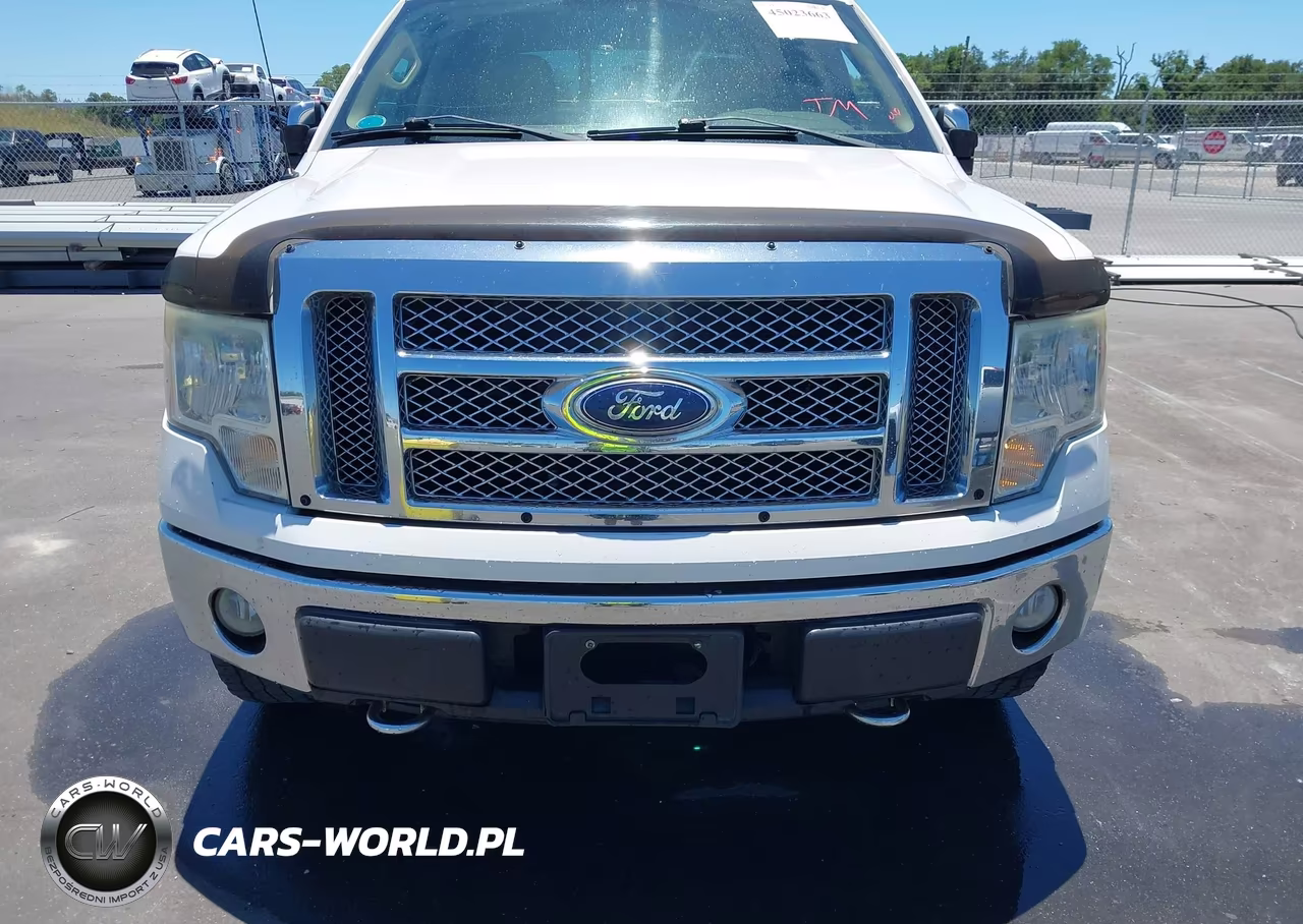 2010 Ford F-150 Fx4-Harley-Davidson-King Ranch-Lariat-Platinum-Xl-Xlt VIN:1FTFW1EVXAFB04979 - 6