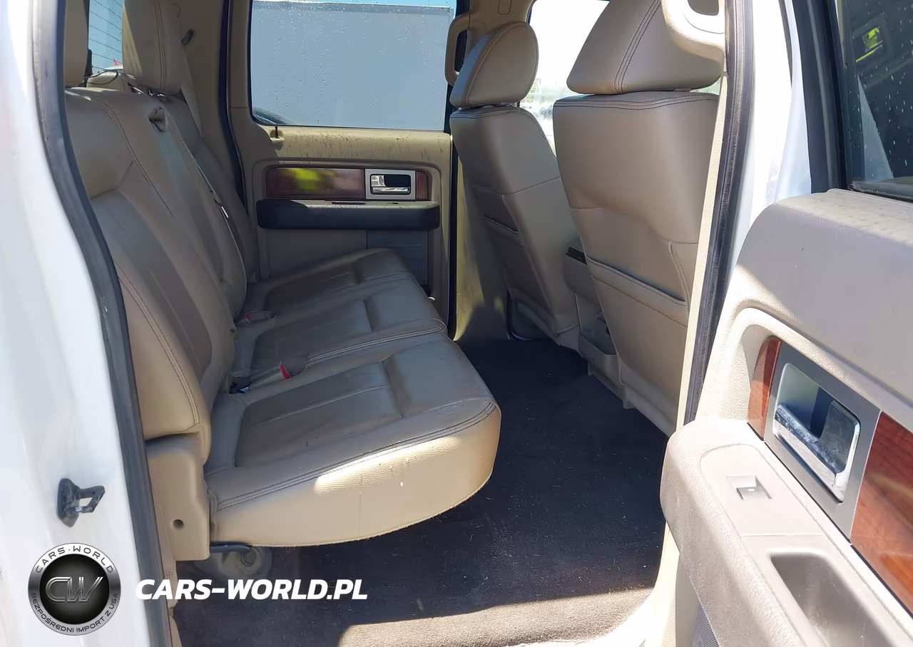 2010 Ford F-150 Fx4-Harley-Davidson-King Ranch-Lariat-Platinum-Xl-Xlt VIN:1FTFW1EVXAFB04979 - 8