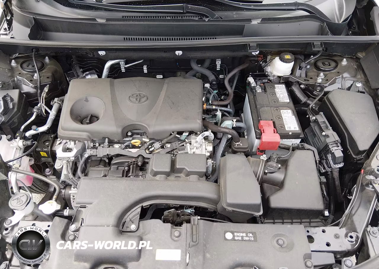 2025 Toyota Rav4 Xle VIN:2T3W1RFV5SW425050 - 10
