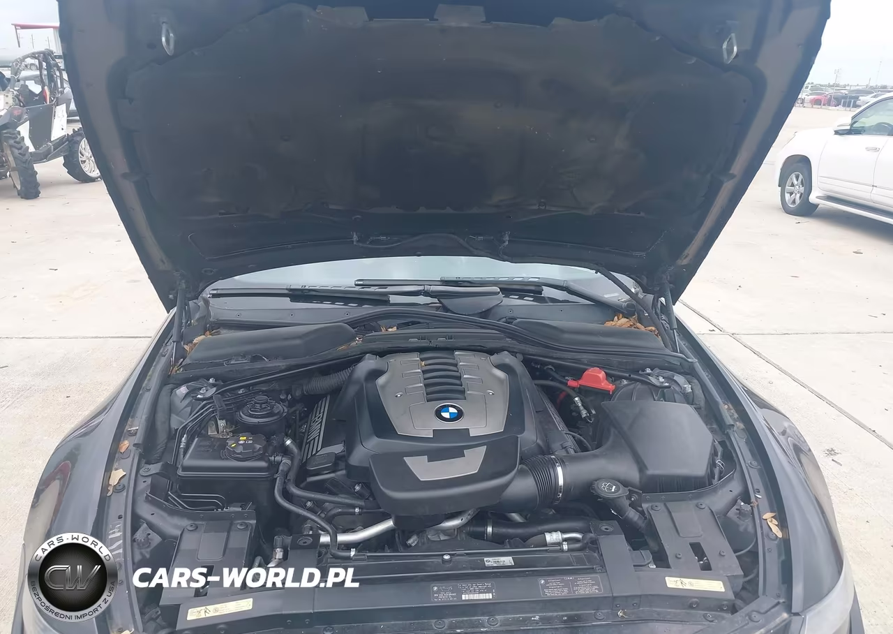 2007 BMW 650I VIN:WBAEK13507CN84581 - 10