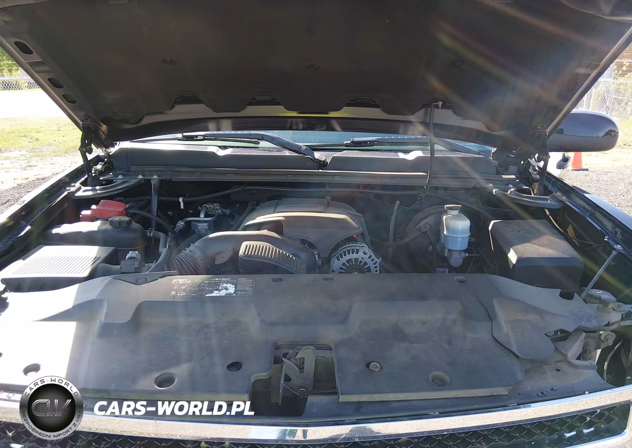 2011 Chevrolet Silverado 1500 Lt VIN:1GCRCSE05BZ459199 - 10