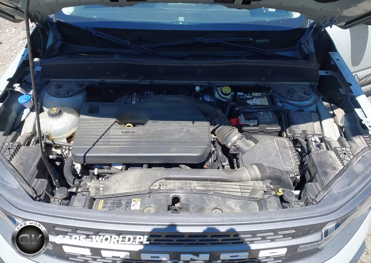 2021 Ford Bronco Sport Badlands VIN:3FMCR9D93MRA73462 - 10