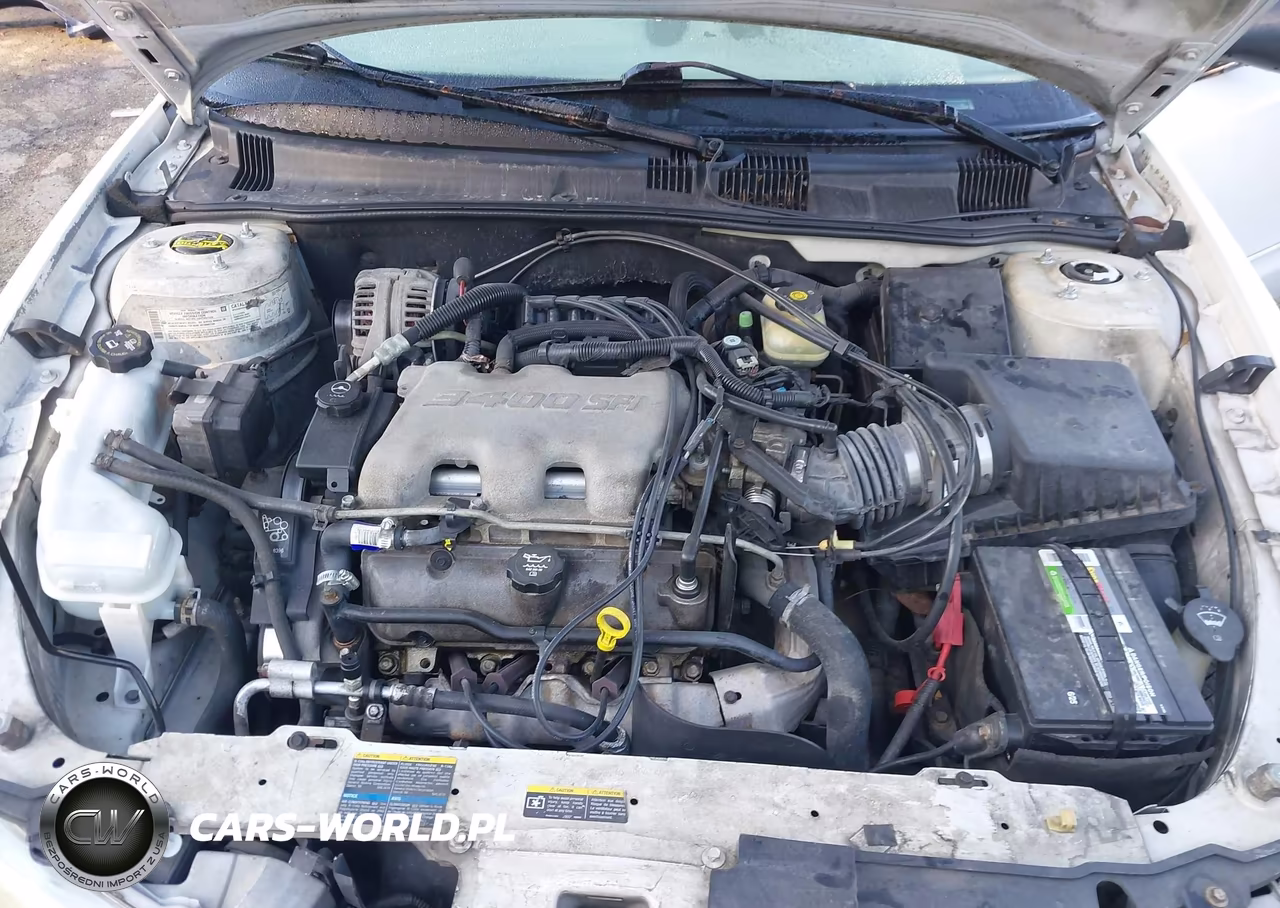2004 Oldsmobile Alero Gl1 VIN:1G3NL52E94C198889 - 10