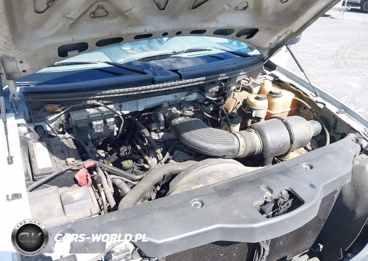 2006 Ford F-150 Stx-Xl-Xlt VIN:1FTRX14W26KD00241 - 10