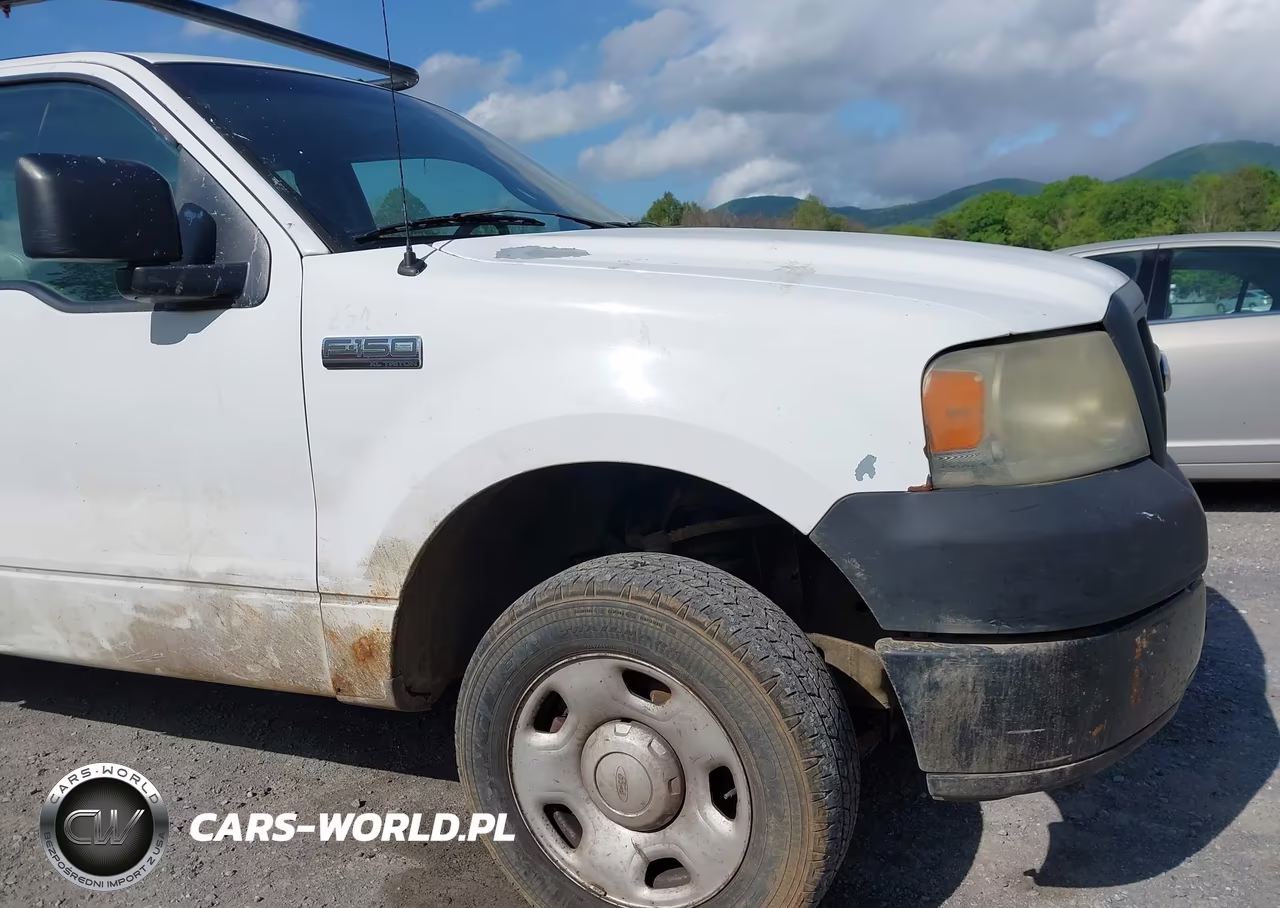 2006 Ford F-150 Stx-Xl-Xlt VIN:1FTRX14W26KD00241 - 21
