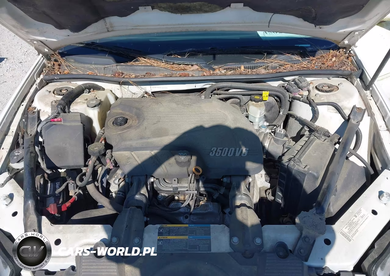 2008 Chevrolet Impala Lt VIN:2G1WT55N181301761 - 10