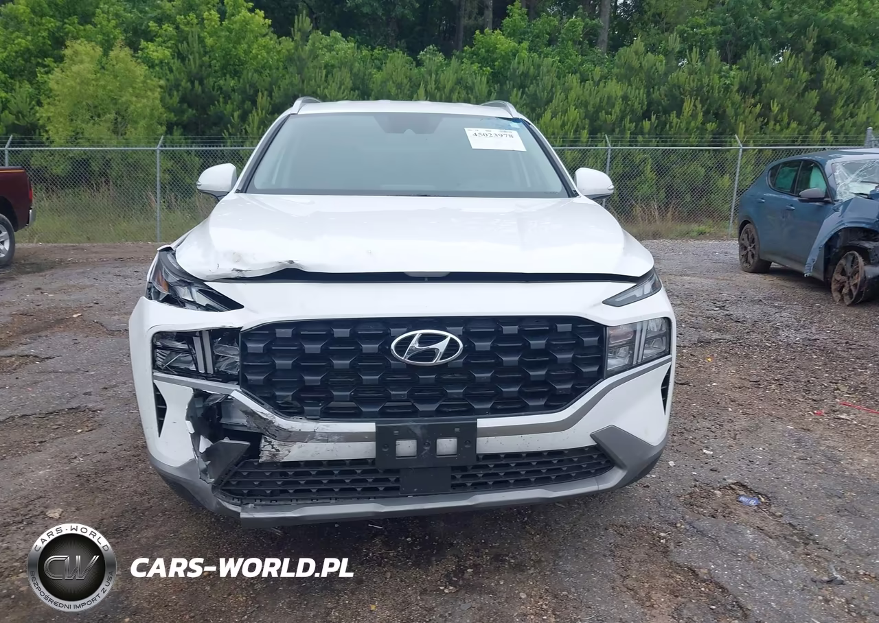 2023 Hyundai Santa Fe Sel VIN:5NMS2DAJ7PH551201 - 13